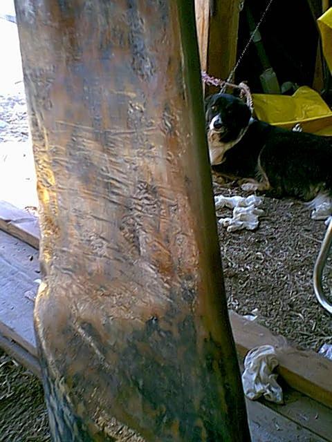 keel2