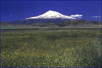 Mount Shasta